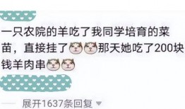 幽默吃瓜先生小说免费阅读,笑料横生的奇幻食界之旅